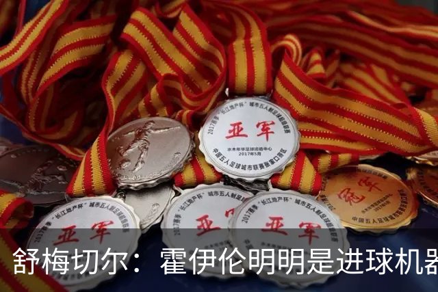 舒梅切尔：霍伊伦明明是进球机器，维韦尔来了偏要换成谢什科