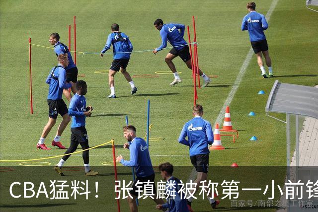 CBA猛料！张镇麟被称第一小前锋，麦基比赛态度变好，拉塞尔伤病出炉